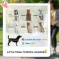 Carrito para Perros Plegable con Ventanas de Malla Cojín Lavable Correas de Seguridad 124x67x100 cm Gris Oscuro