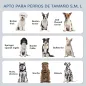 Comedero para Perros