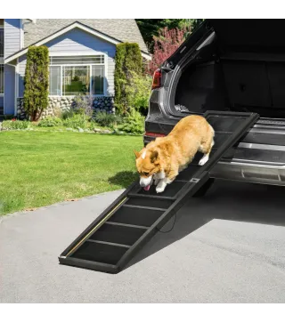 Rampa para Perros