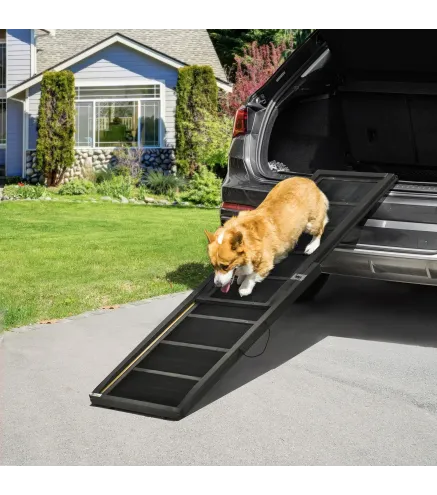 Rampa para Perros