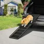 Rampa para Perros
