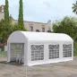 Carpa para Fiestas