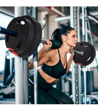 Juego de Discos Pesas de 4 Piezas 2x5 kg 2x7,5 kg con Orificios de 2,5 cm para Entrenamiento Fitness en Hogar Negro