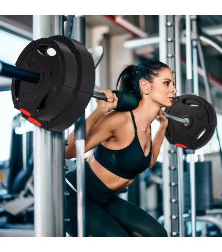 Juego de Discos Pesas de 4 Piezas 2x5 kg 2x7,5 kg con Orificios de 2,5 cm para Entrenamiento Fitness en Hogar Negro