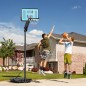 Canasta de Baloncesto