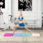 Colchoneta Gimnasia Plegable de 2 Pulgadas de Grosor con Asas de Transporte y Bolsa para Yoga Aeróbic Multicolor