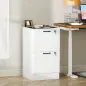 Mueble Archivador con 2 Cajones Cajonera para Escritorio con Cerraduras Rieles Colgantes Ajustables para A4 Blanco