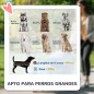 Cochecito para Perros Cochecito para Perros