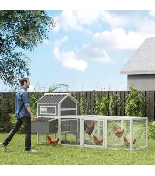 Gallinero de Madera con Perchas Columpio Nidos y Bandeja Extraíble 315,5x150,5x140,5 cm Gris