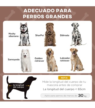 Cama Perros Elevada
