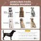 Cama Perros Elevada Cama Perros Elevada