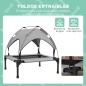 Cama Perros Elevada Cama Perros Elevada