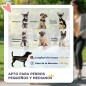 Cochecito para Perros