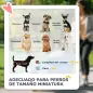 Carrito para Perros Plegable 3 en 1 con Cesta de Almacenaje Ventana de Malla y Sistema de Seguridad 76x50x102 cm Negro