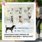 Cochecito para Mascotas Ligero y Plegable para Perros Pequeños con Ventilación Óptima 80x48,5x106 cm Caqui y Plata