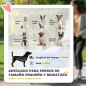 Cochecito para Perros Cochecito para Perros