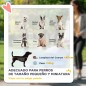 Cochecito para Perros Cochecito para Perros