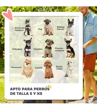 Cochecito para Perros