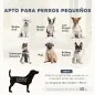 Sofá para Perros