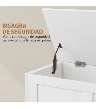 Baúl de Almacenaje