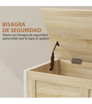 Baúl de Almacenaje