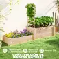 Jardinera Elevada con Celosía de Madera para Plantas Trepadoras y 2 Cajas de Cultivo 222x63x132 cm Natural