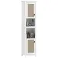 Columna de Baño con Estantes Ajustables 2 Puertas con Frontal de Ratán y 2 Compartimentos 40x30x167,5 cm Blanco Columna de Baño con Estantes Ajustables 2 Puertas con Frontal de Ratán y 2 Compartimentos 40x30x167,5 cm Blanco