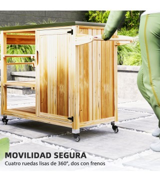 Carrito de Parrilla
