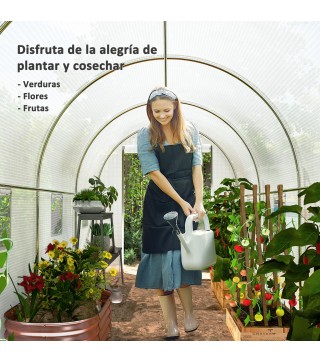 Invernadero de Túnel
