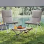 Sillas de Camping Plegables de Aluminio con Respaldo Alto Ajustable Reposabrazos de Madera 59x67x96 cm Gris Claro
