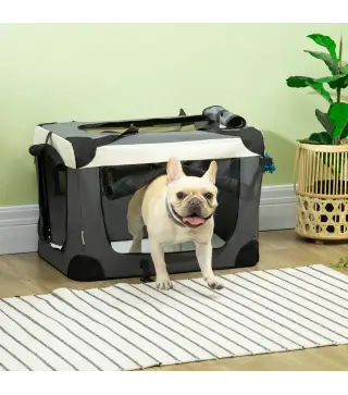 Transportín para Perros y Gatos Bolsa de Transporte para Mascotas Plegable con Cojín 60x41x41 cm Gris