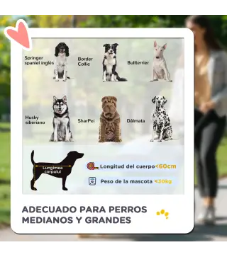 Cochecito para Mascotas