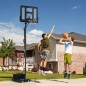 Canasta de Baloncesto Canasta de Baloncesto