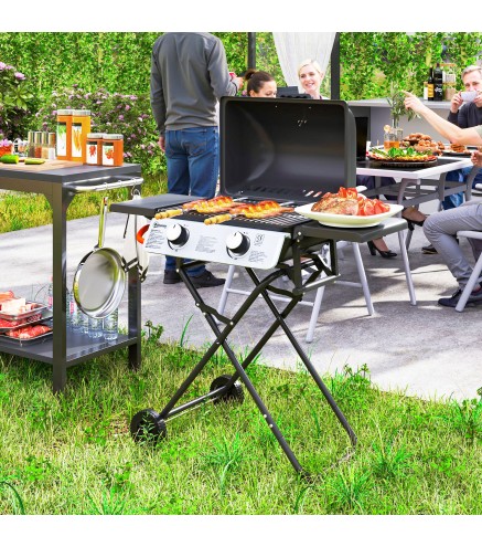 Barbacoa de Gas