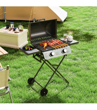 Barbacoa de Gas