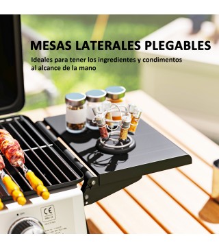 Barbacoa de Gas