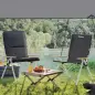 Sillas de Camping Plegables de Aluminio con Respaldo Alto Ajustable Reposabrazos de Madera 59x67x96 cm Negro