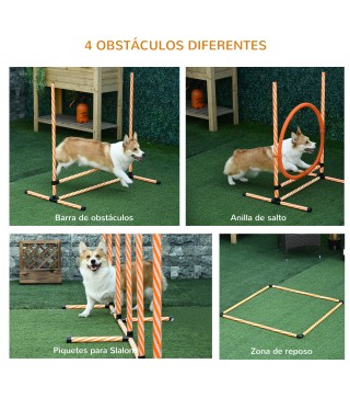Juego de Agilidad