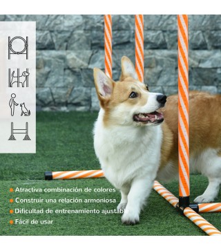 Juego de Agilidad