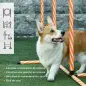 Set Agility para Entrenamiento de Perros con Slalom Obstáculos Ajustables Silbato y Bolsa de Transporte