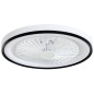 Ventilador Techo Luz