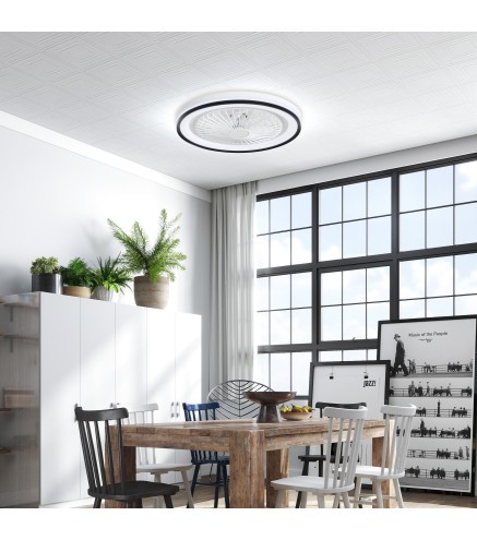 Ventilador Techo Luz