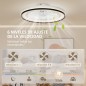 Ventilador Techo Luz