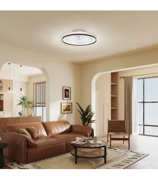 Ventilador Techo Luz