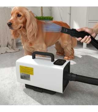 Secador para Mascotas