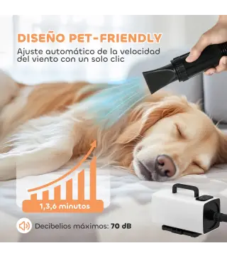 Secador para Mascotas