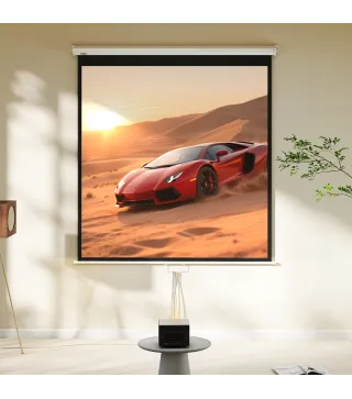 Pantalla de Proyector