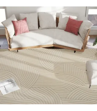 Alfombra para Salón