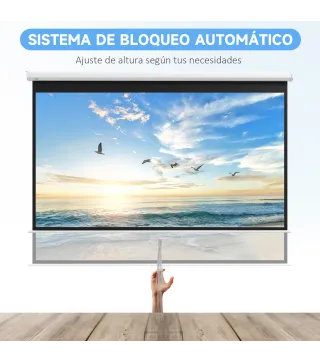 Pantalla de Proyector