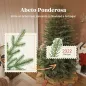 Árbol de Navidad Árbol de Navidad